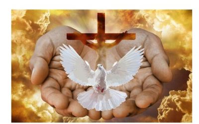 Bierzmowanie – 19 kwietnia 2026 r.